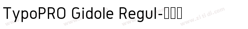 TypoPRO Gidole Regul字体转换